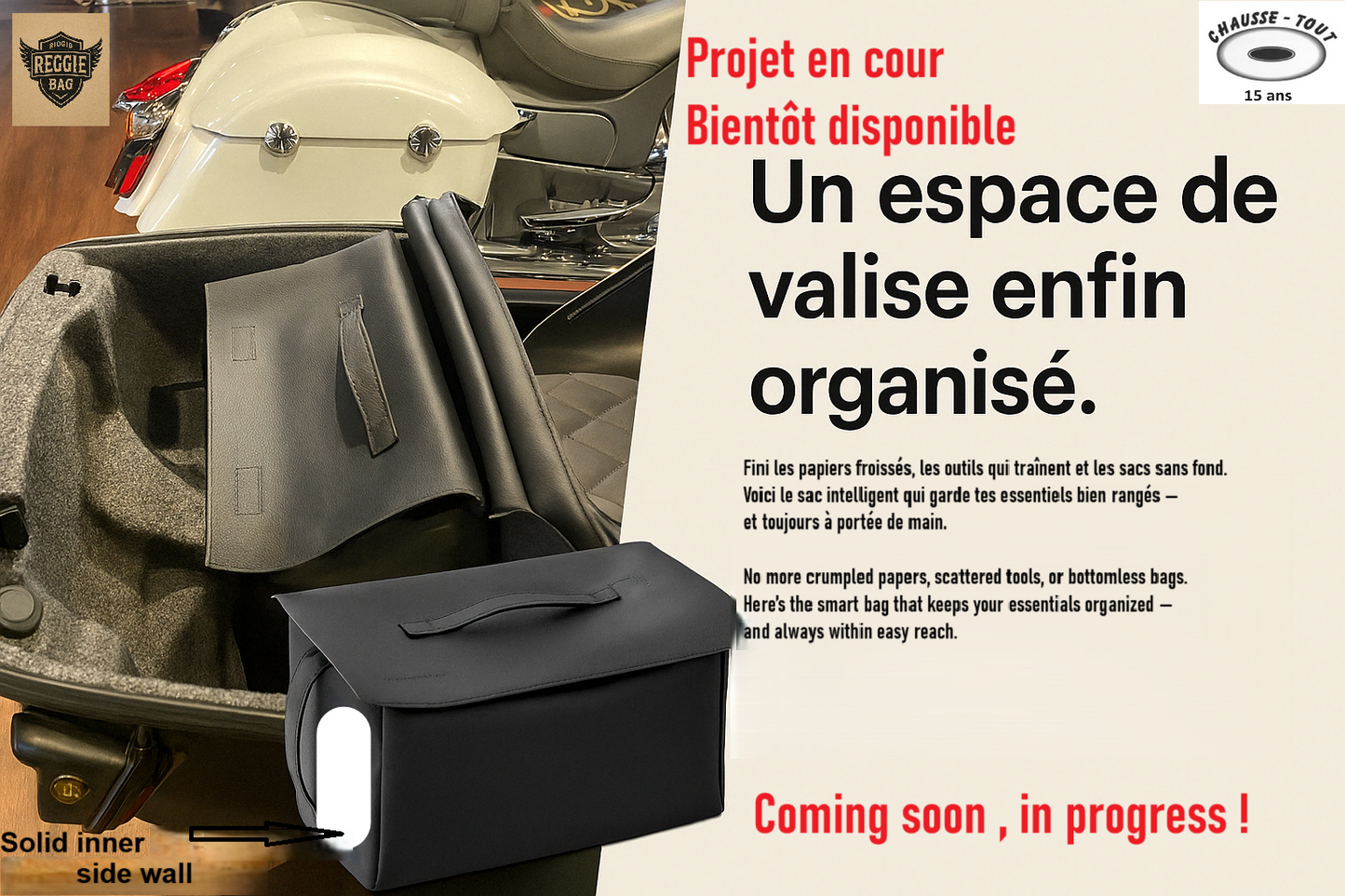 Reggie bag , organisateur pour valise moto