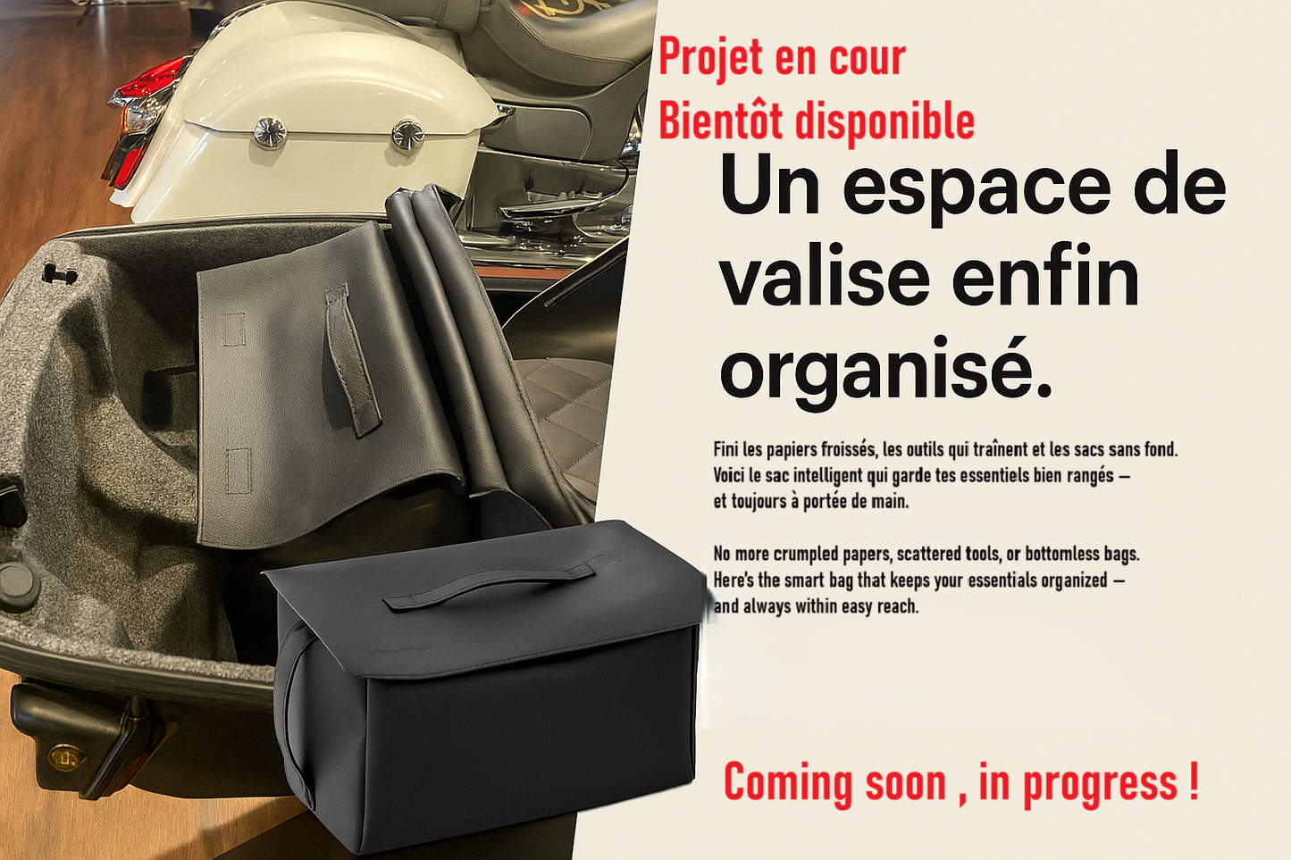Reggie bag , organisateur pour valise moto