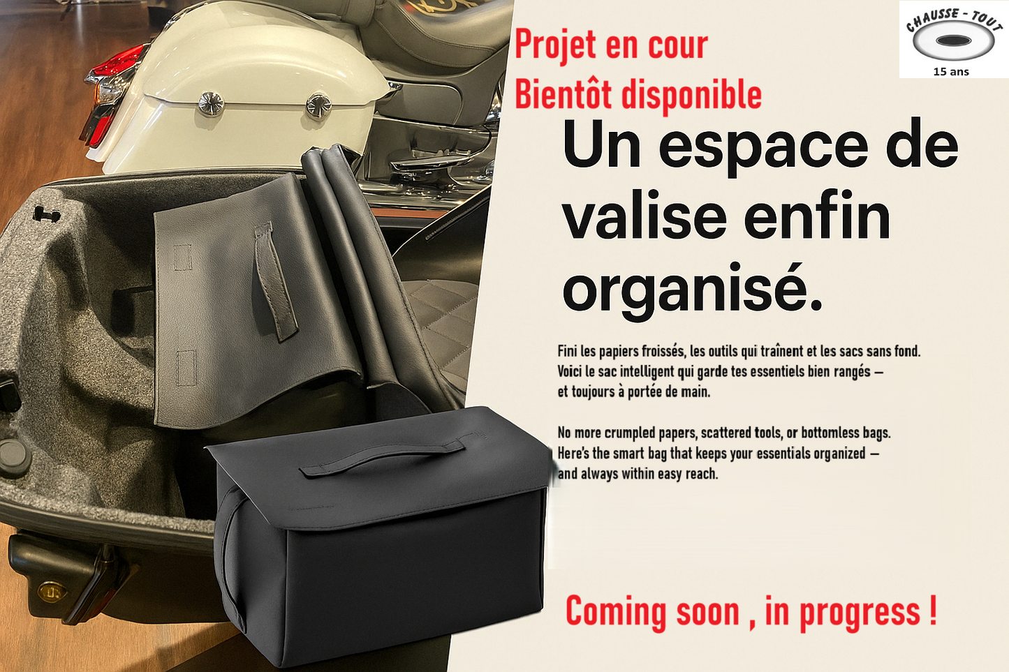 Reggie bag , organisateur pour valise moto