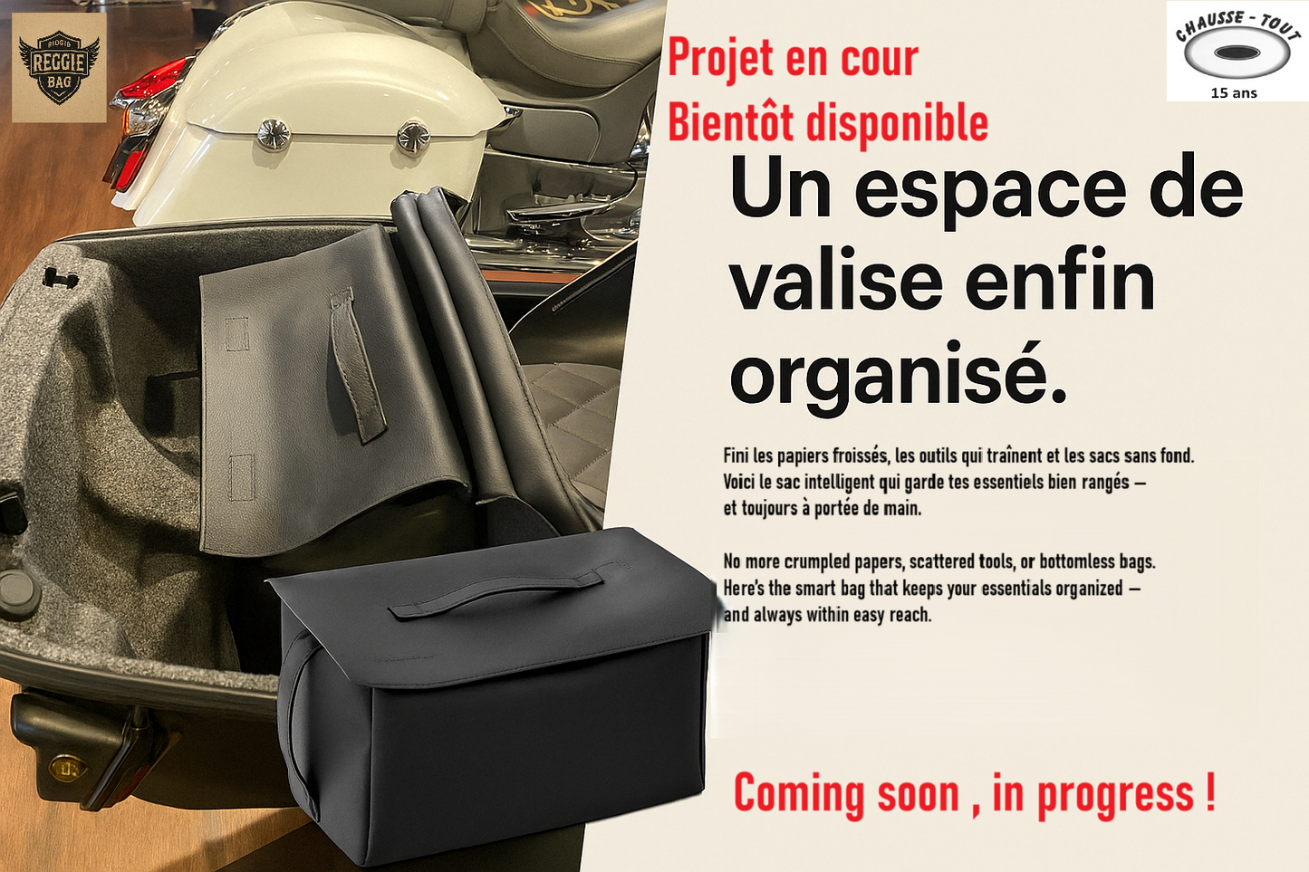 Reggie bag , organisateur pour valise moto