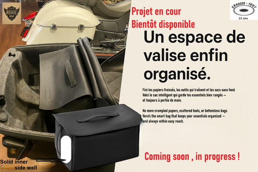 Reggie bag , organisateur pour valise moto